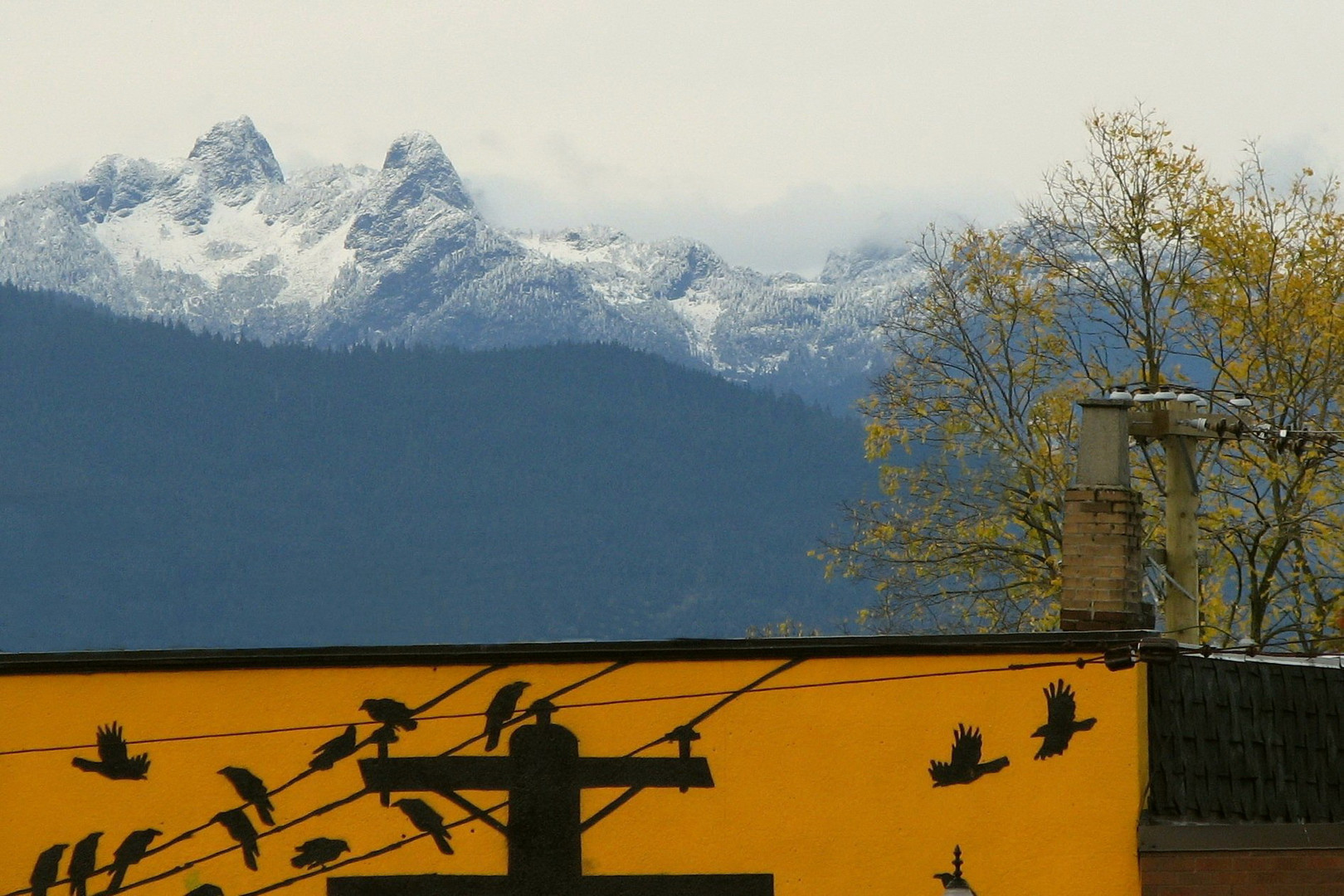 First Snow on "The Lions"