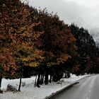first snow on the road