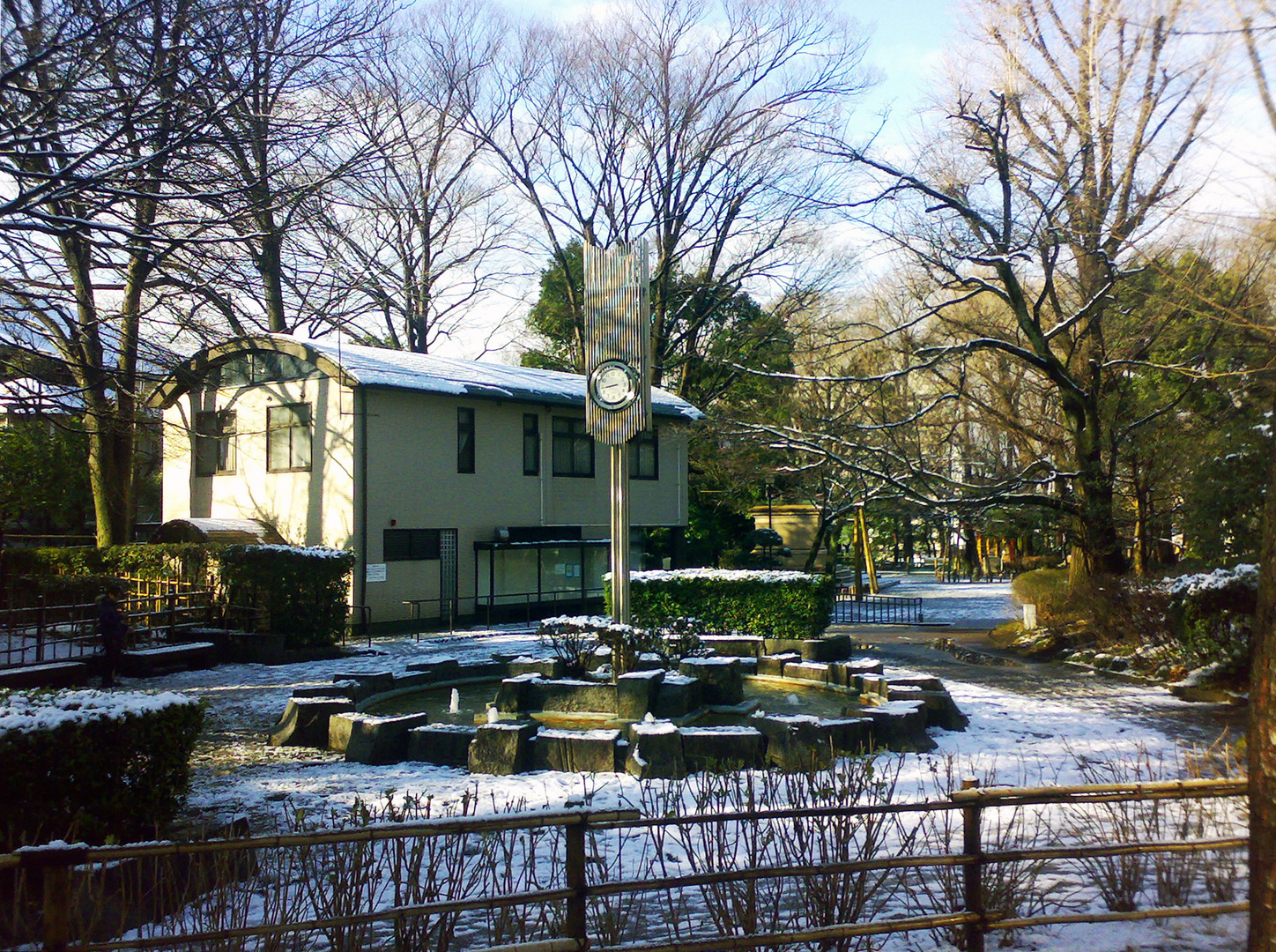 First Snowfall in Central Tokyo