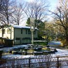 First Snowfall in Central Tokyo