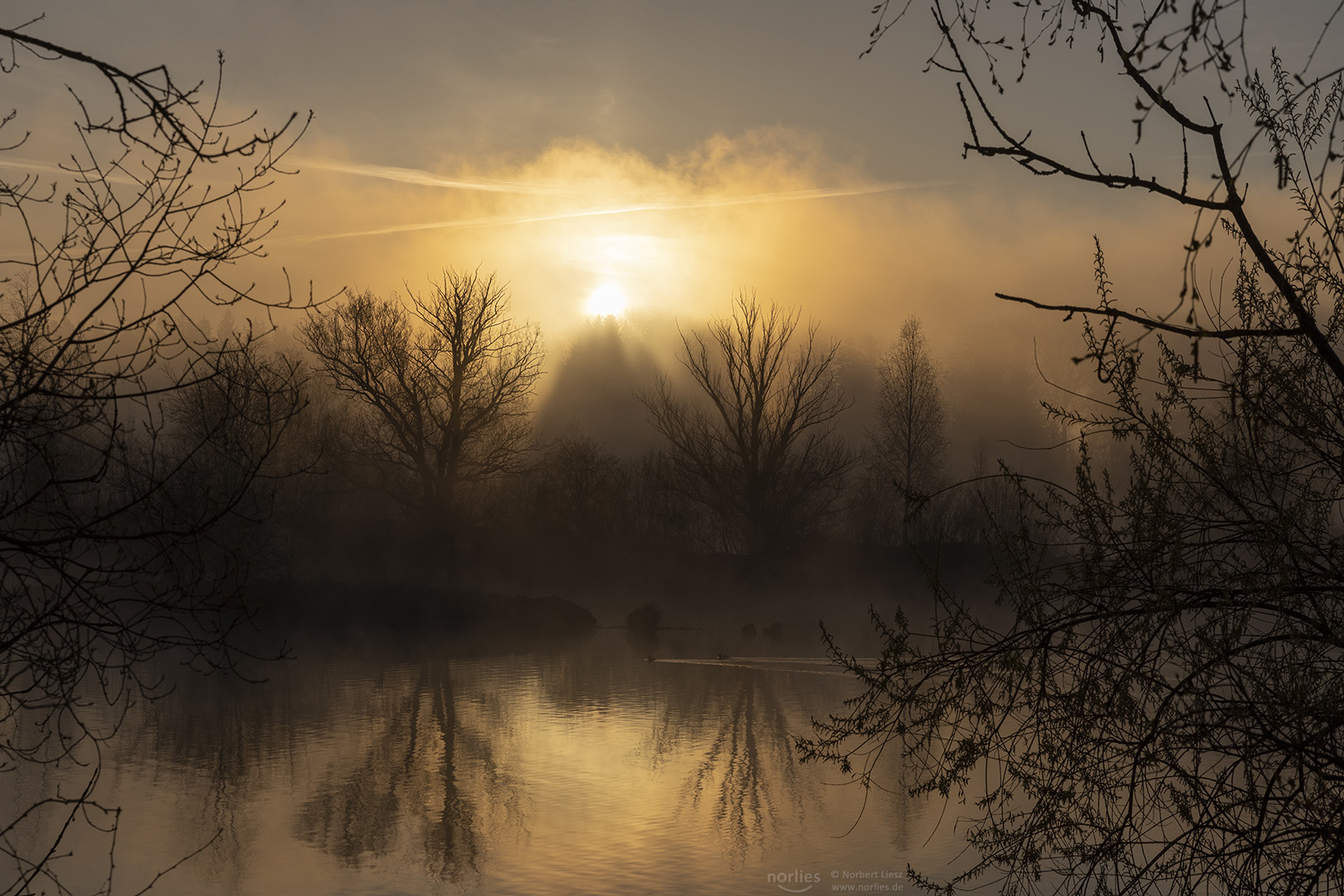 First sunbeams