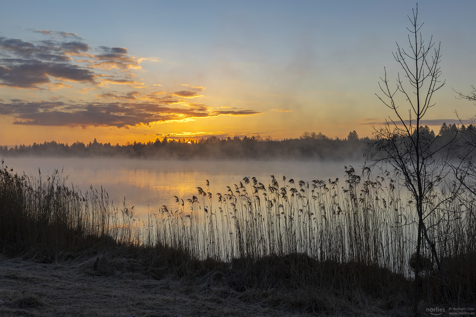 first sunlight