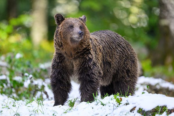 First taste of winter