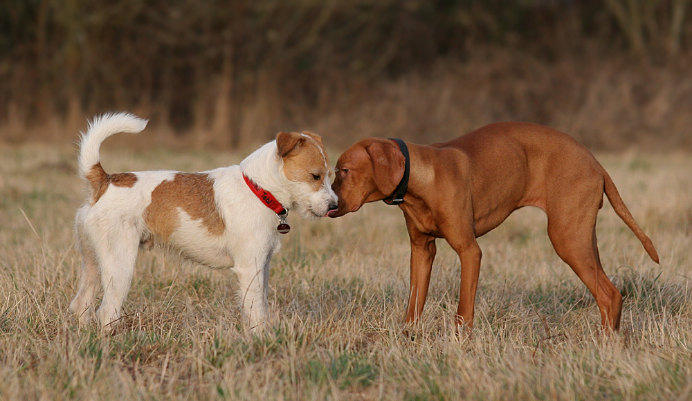 First time, first kiss...