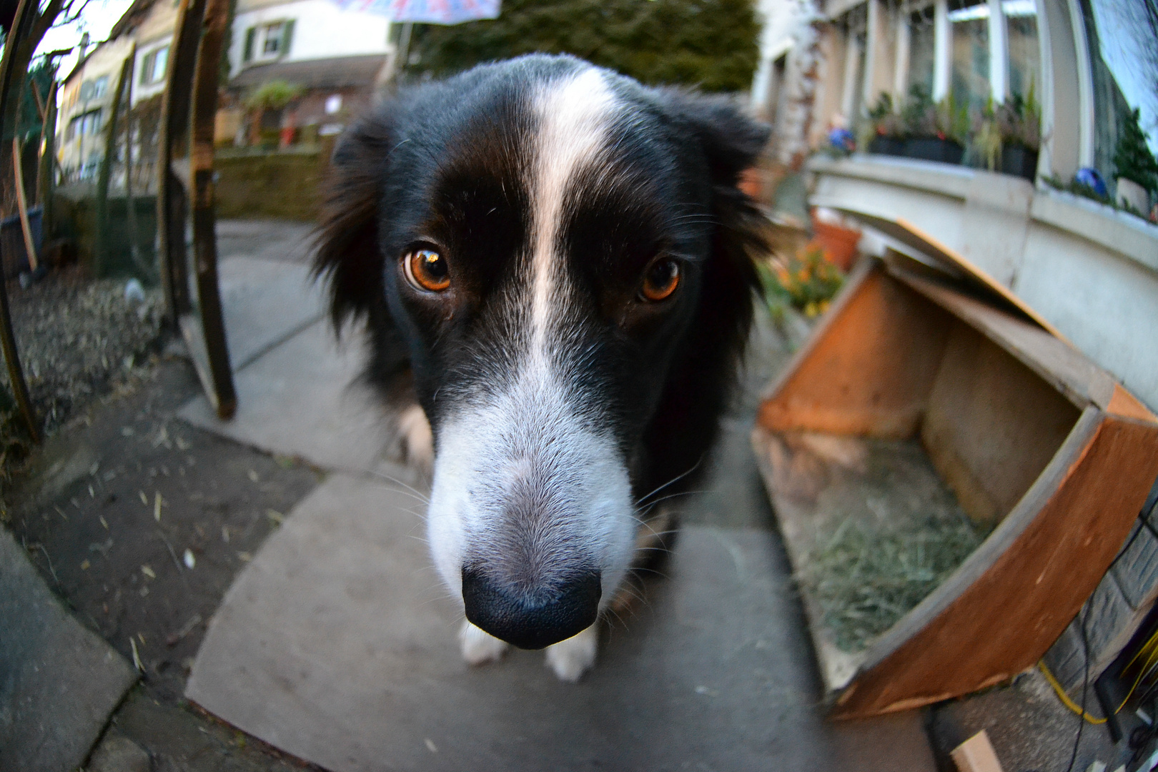 first time fish eye