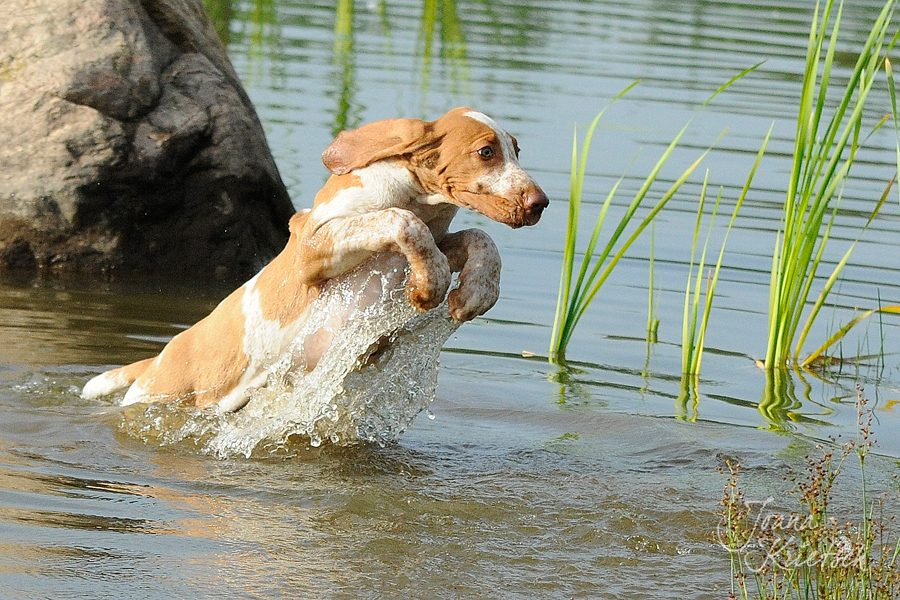 first time in the water