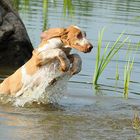 first time in the water