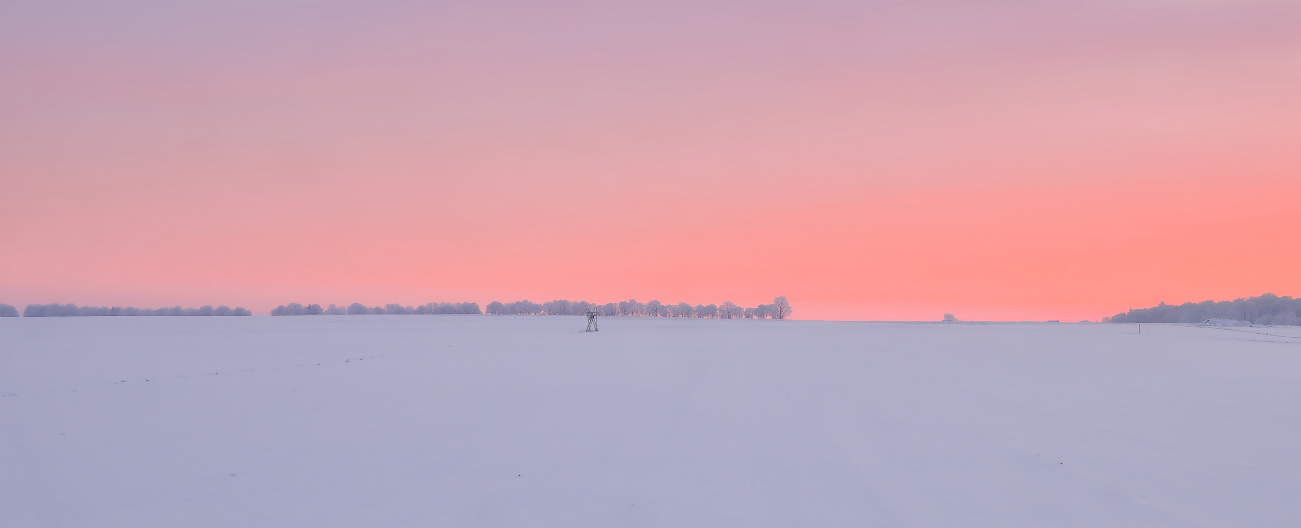 first winter light