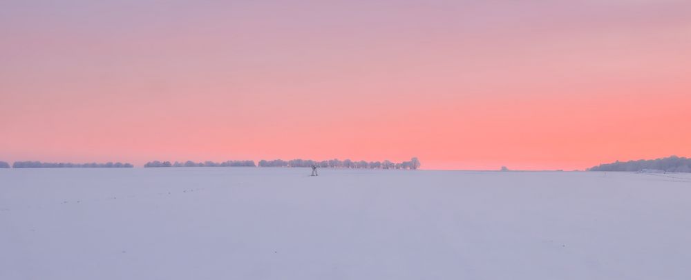 first winter light