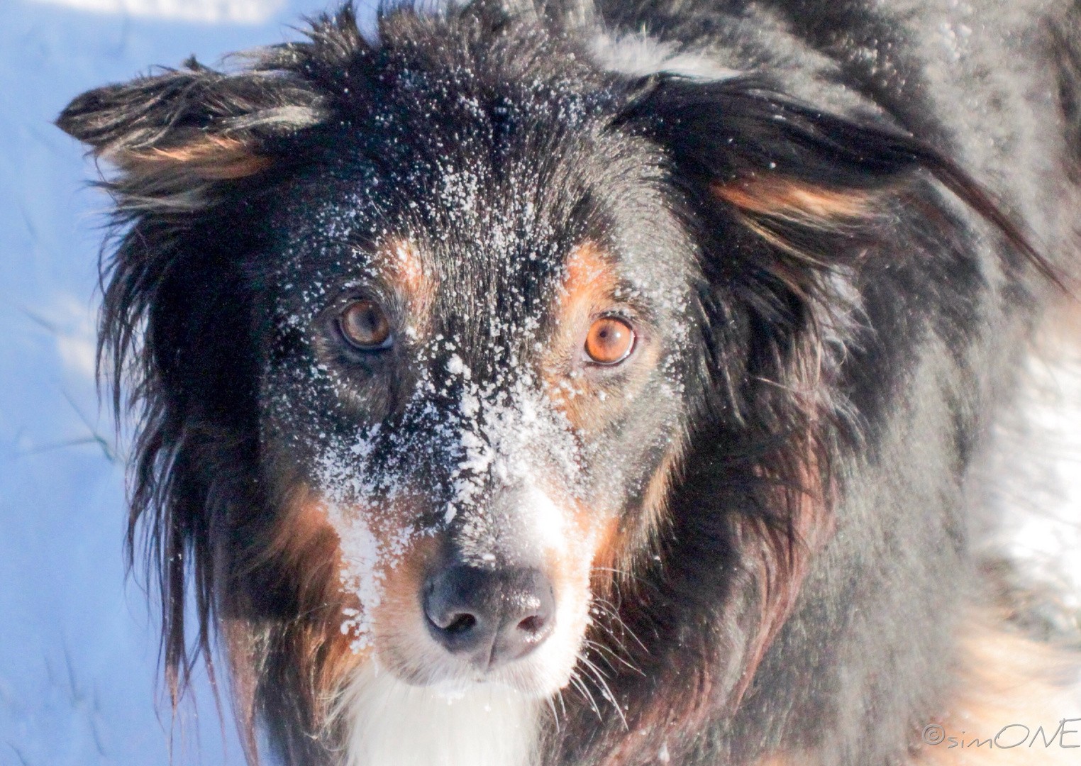 First.snow.