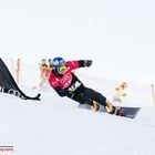 FIS Snowboard Worldcup Sudelfeld 2014 I