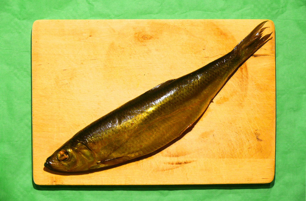 fisch