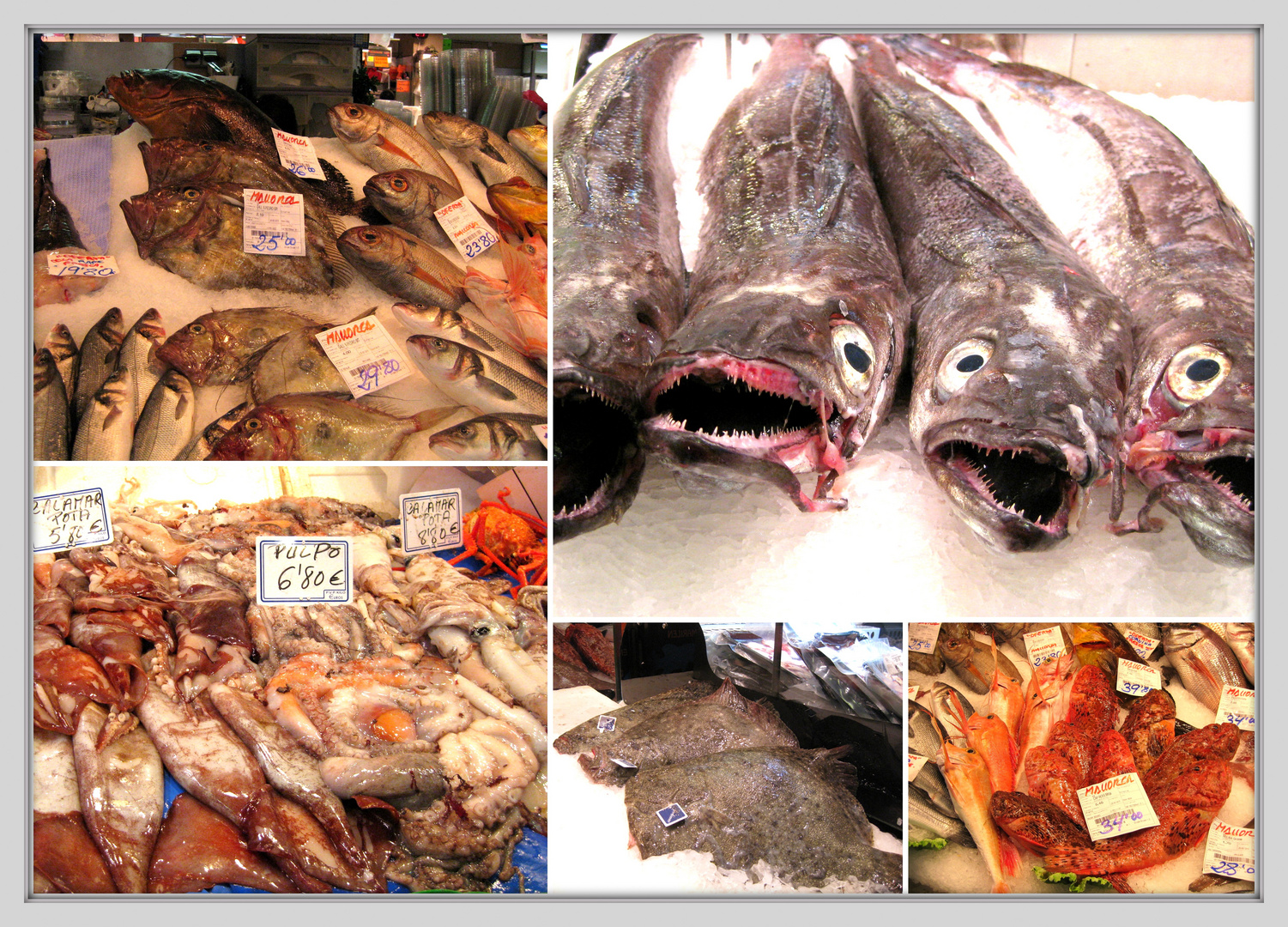 Fisch Am Karfreitag Foto Bild Stillleben Food Fotografie Fische Meeresfruchte Bilder Auf Fotocommunity