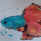 Fisch - Aquarell und Stift