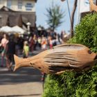 Fisch auf dem Trocknen