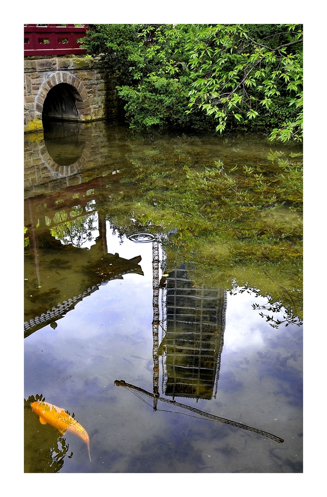 Fisch, Brücke, Spiegelung