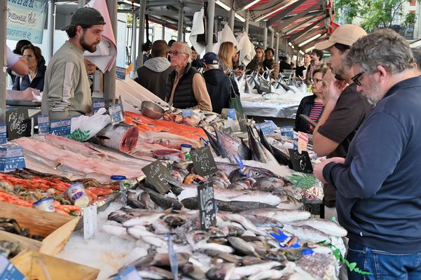 Fisch, Fisch, Fisch DSC_9068