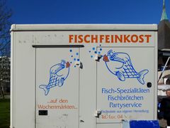 Fisch - heute feingemacht