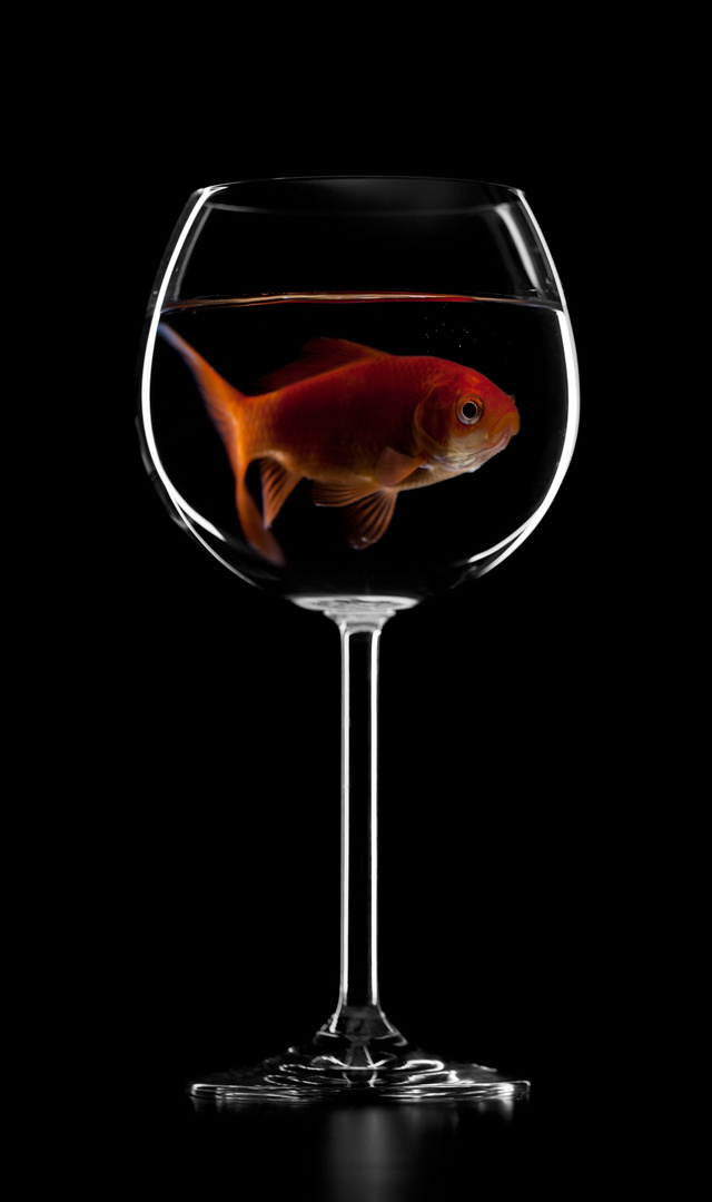 Fisch im Glas
