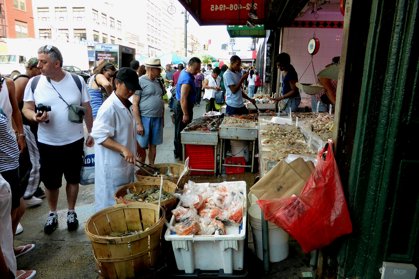 Fisch in Chinatown