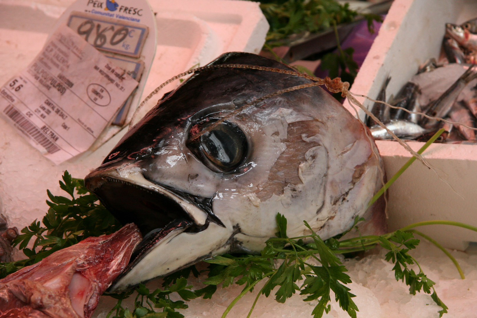 Fisch in der Markthalle Valencia (Mercado Central) im Juli 2009
