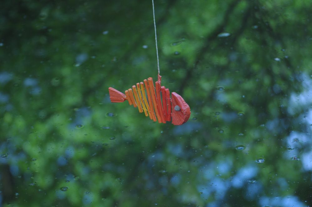 Fisch in Not Foto & Bild outdoor, regen, teich Bilder auf