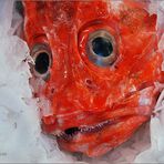 Fisch... kalt ... rot ... tot