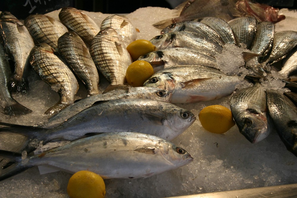 Fisch markt Toulon