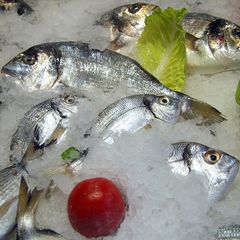 Fisch mit Tomate an Salat