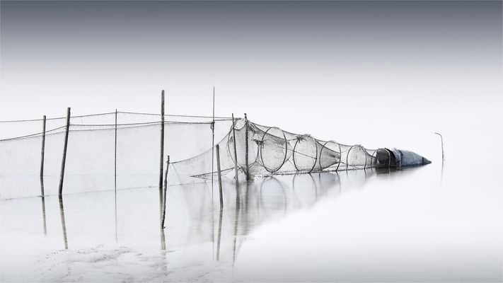 ::: Fisch | Reuse :::