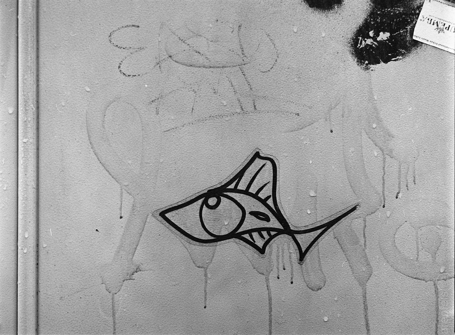 Fisch Stencil #m10s-003005