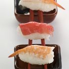 Fisch Trio auf Reis balanciert