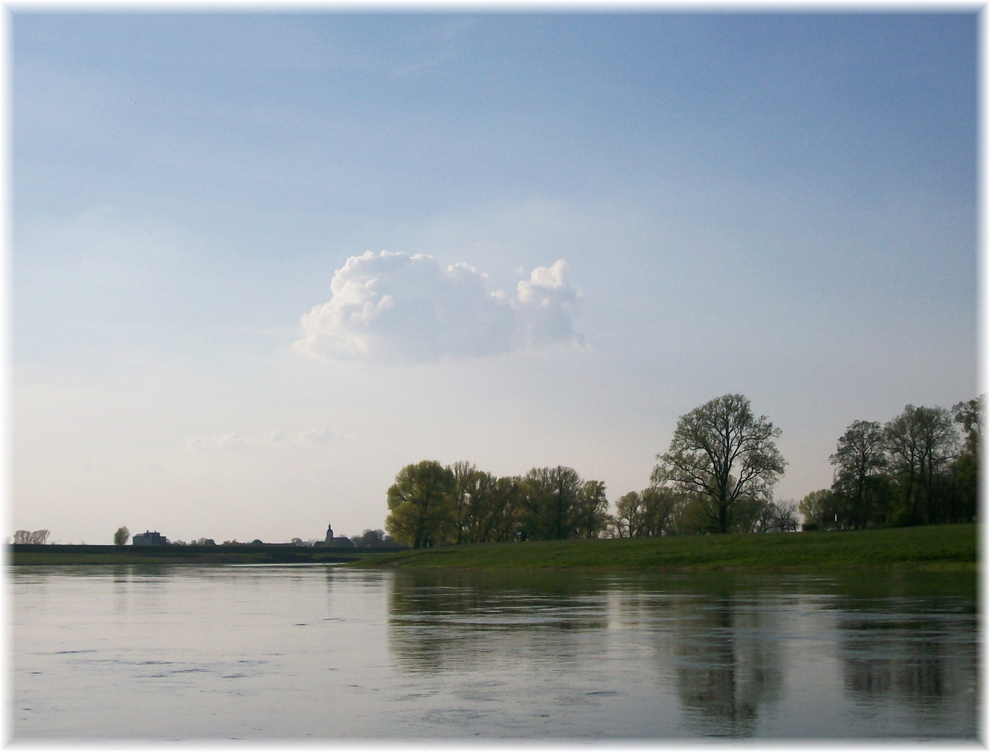 Fisch über'n Wasser