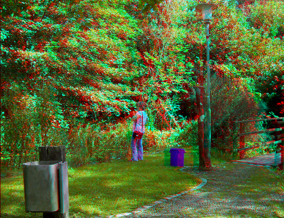 -----Fisch-Umzug-----3D-Anaglyphe rot/cyan