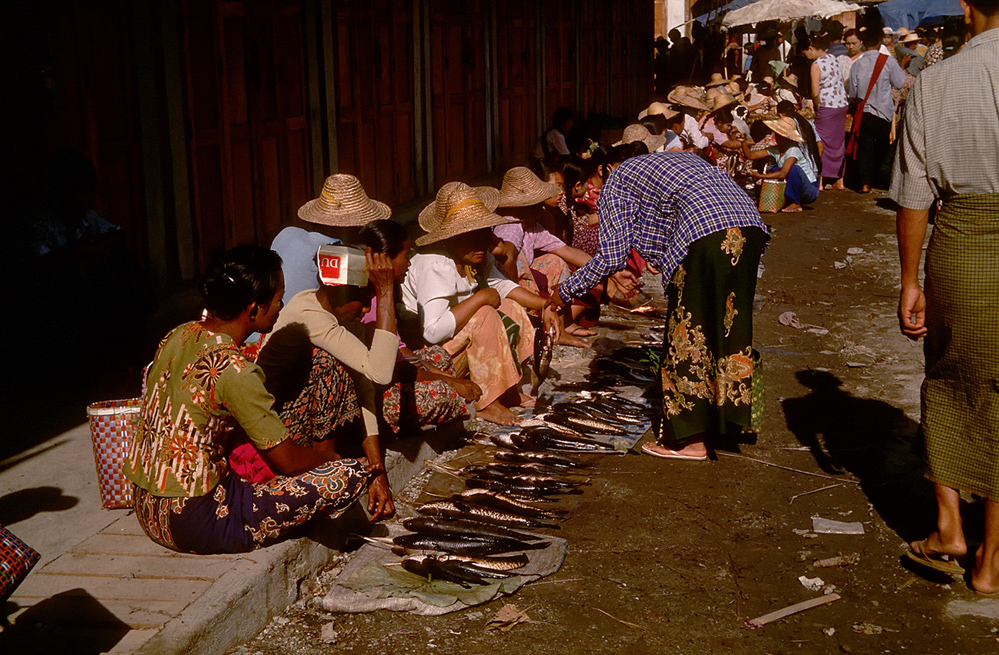 Fisch Verkäuferinnen in der prallen Sonne