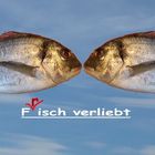 Fisch Verliebt.