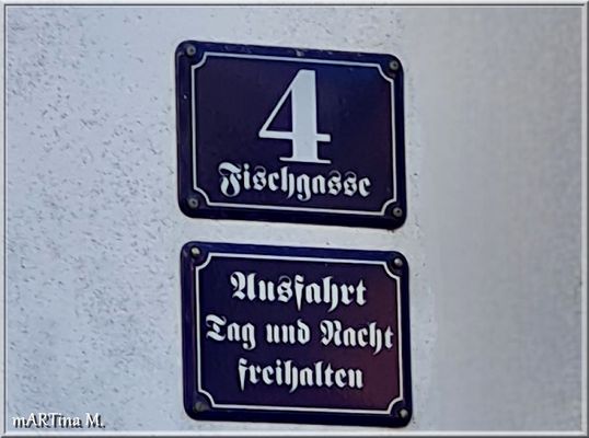 Fisch von Welt (mit Gedicht)