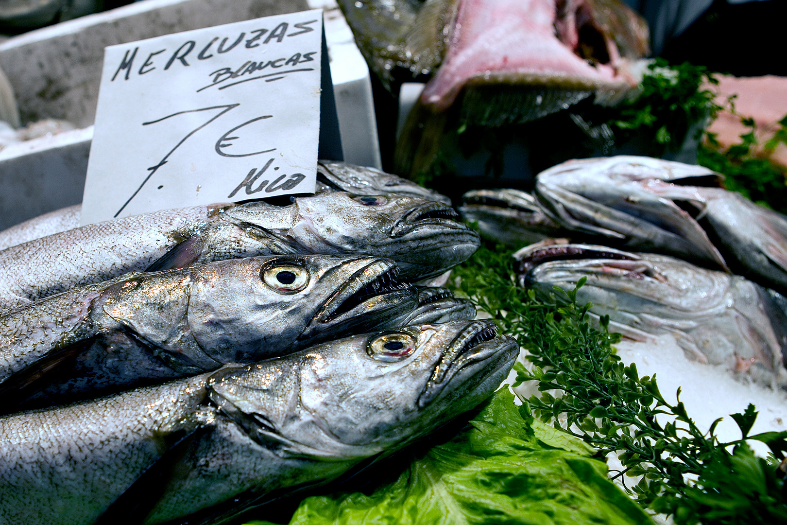 Fisch will dreimal schwimmen, in Wasser, Schmalz und Wein. © Alte Küchenweisheit