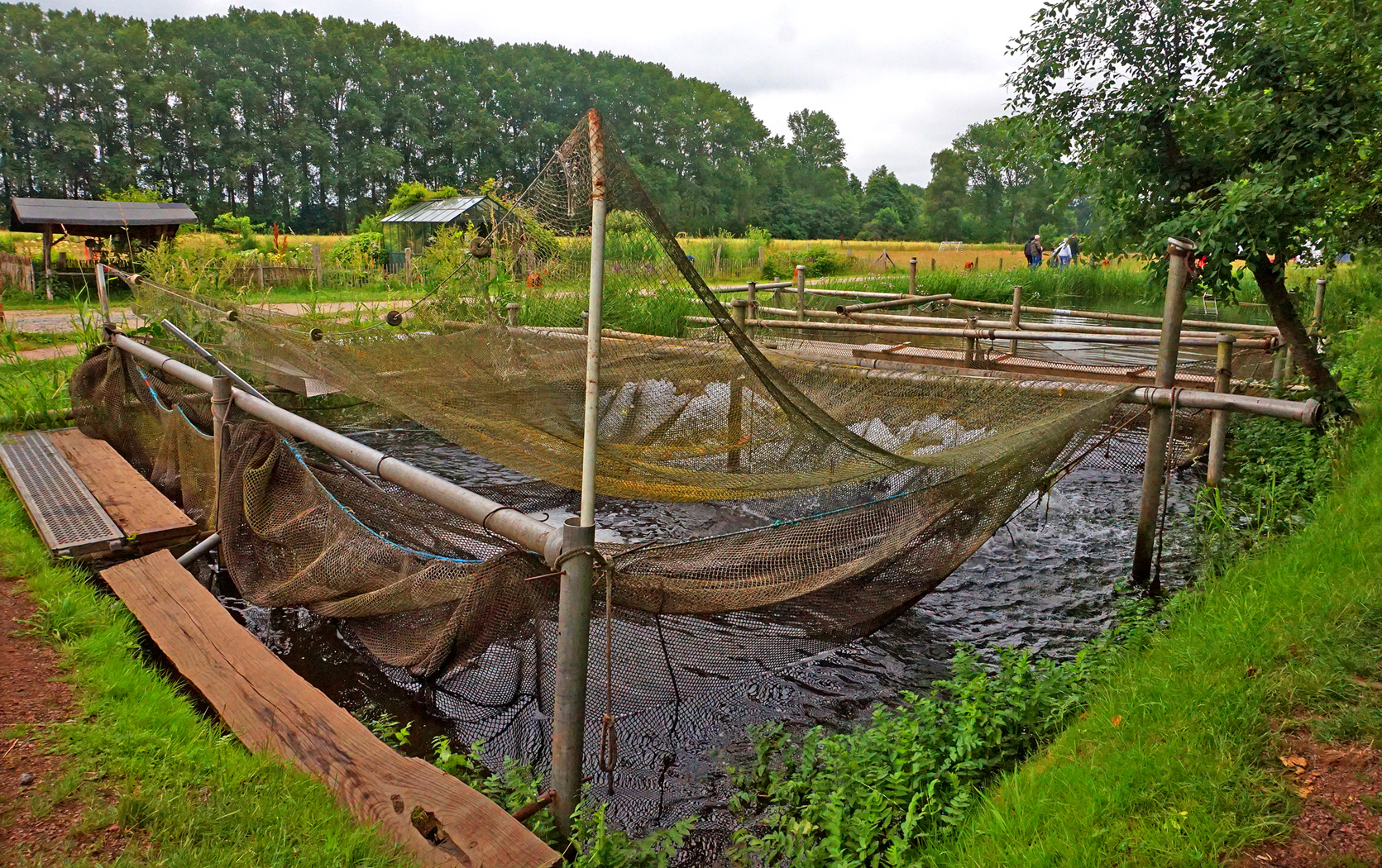 Fischanlage bei Detlefsen