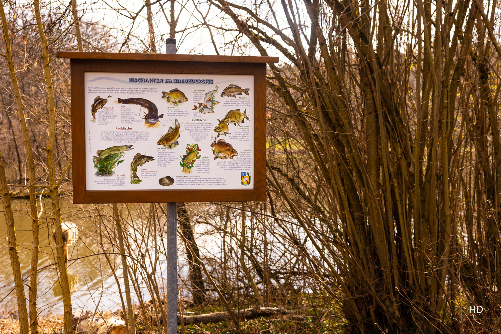 Fischarten im Kreuzbergsee