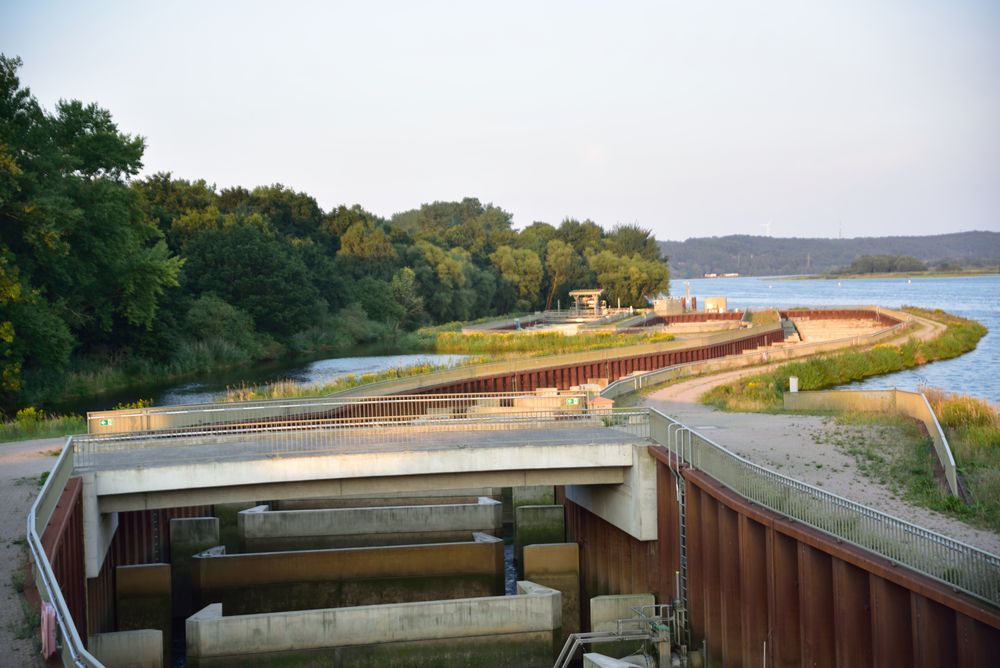 Fischaufstieg an der Elbe in Geesthacht #2