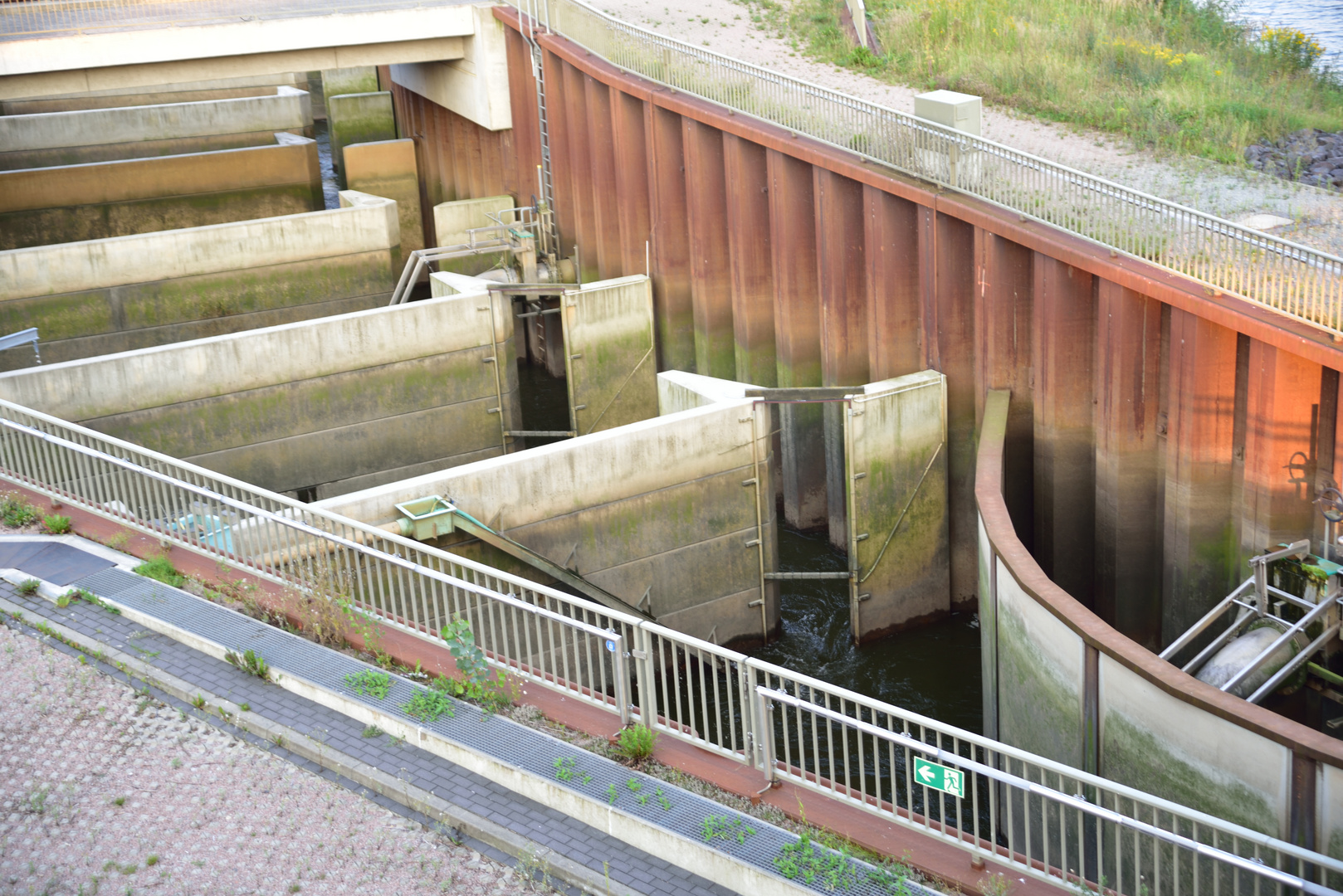 Fischaufstieg an der Elbe in Geesthacht #3