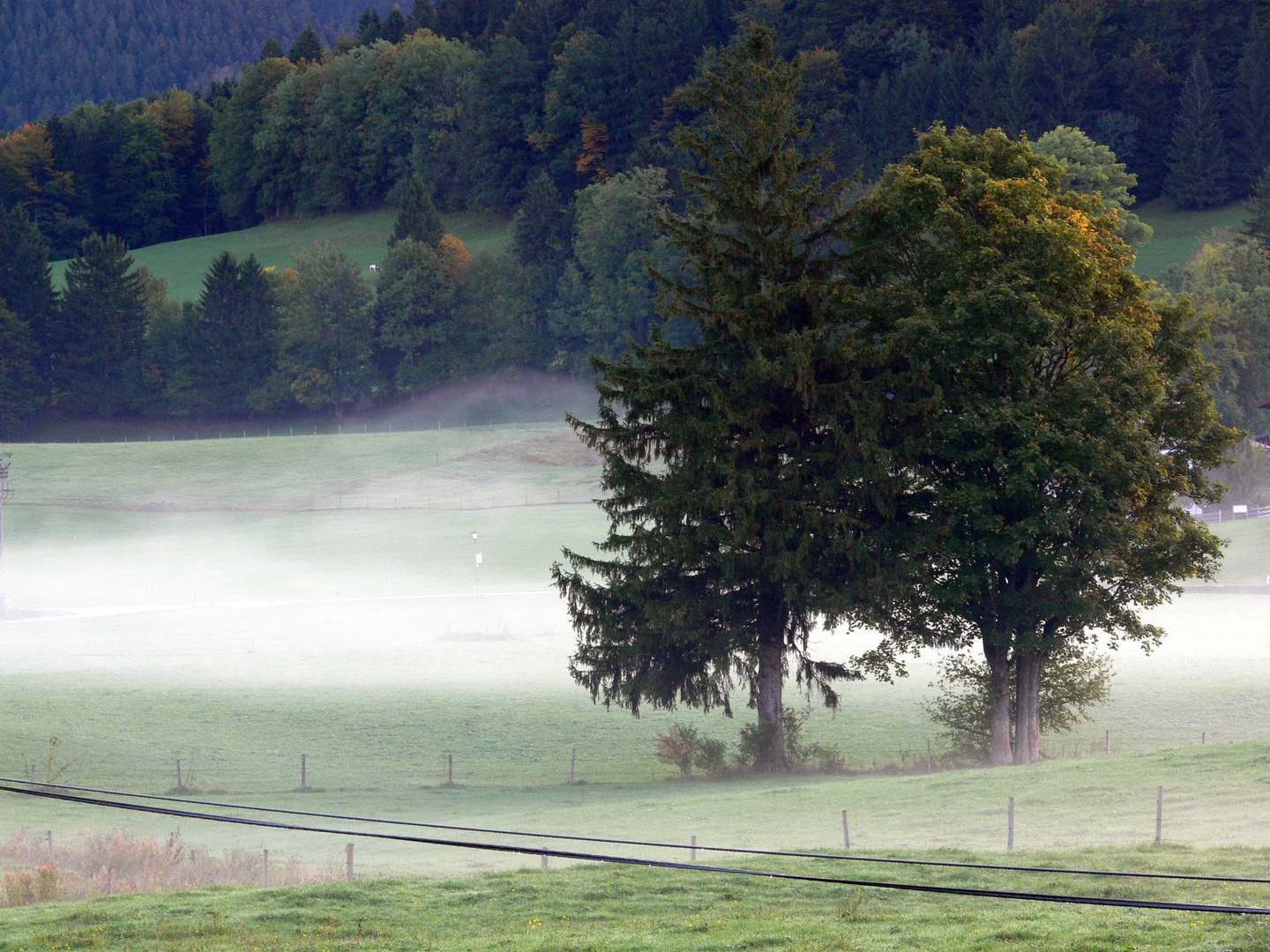 Fischbachau - Nebel am Morgen