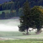Fischbachau - Nebel am Morgen