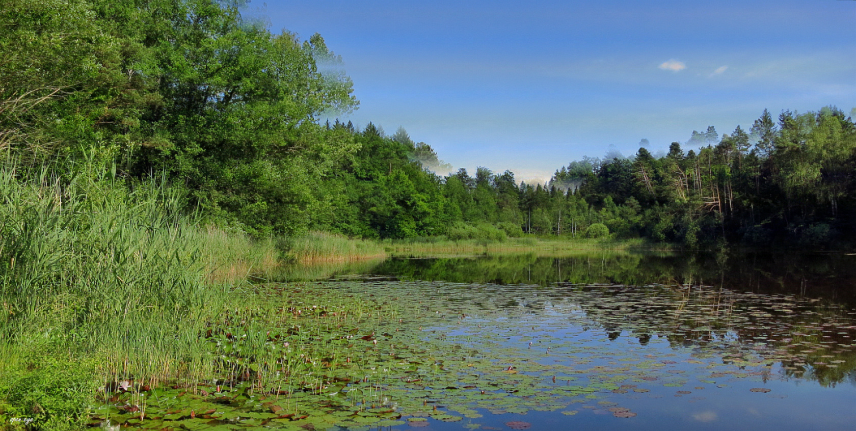 Fischbacher Moos - Freiamt Weiher - 3D Interlaced