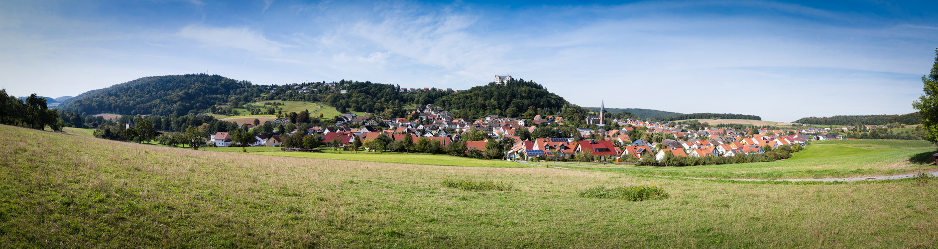 Fischbachtal - Panorama