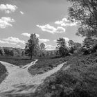 Fischbeker Heide - 3-Wege-Platz