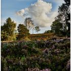 Fischbeker Heide, Hamburg-Neugraben