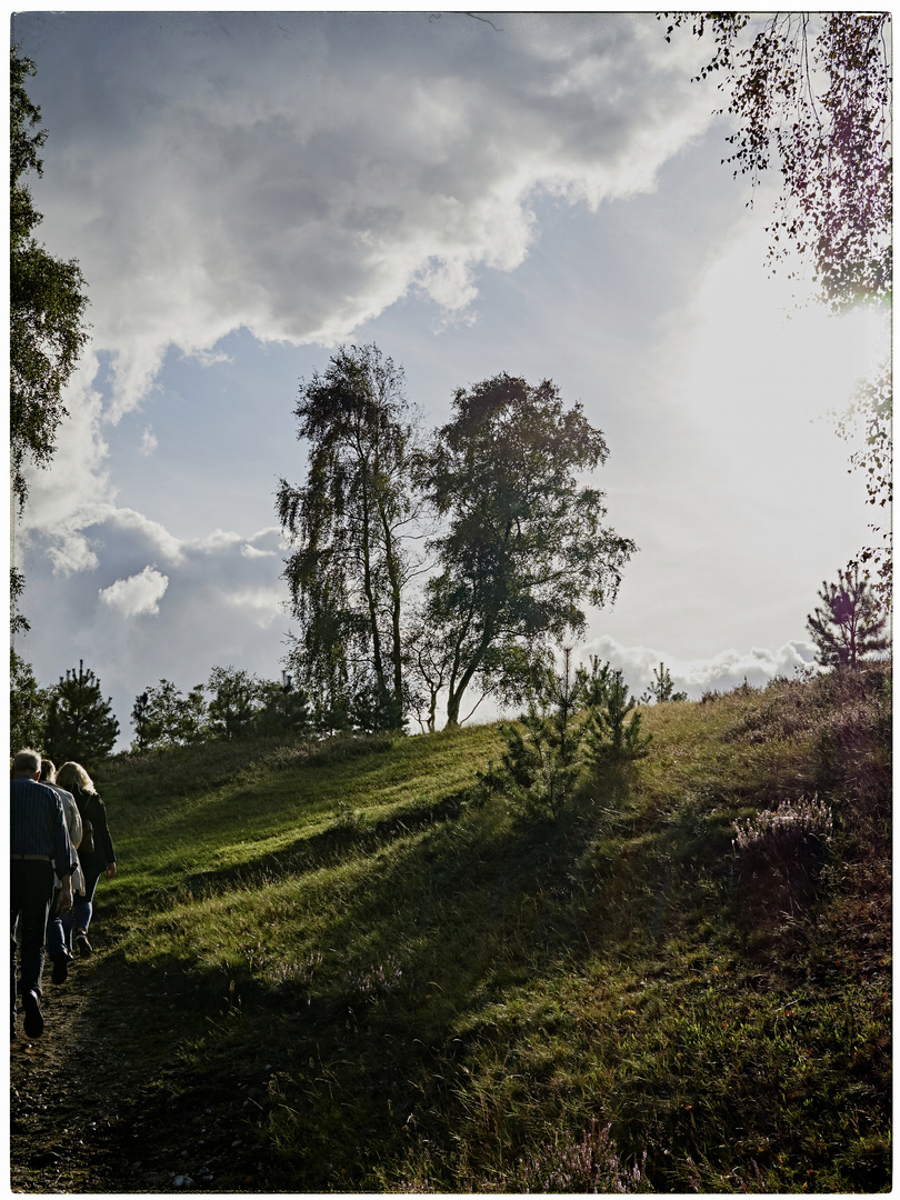 Fischbeker Heide, Hamburg-Neugraben