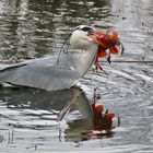 Fischbeute mit Zutaten zur Mittagszeit